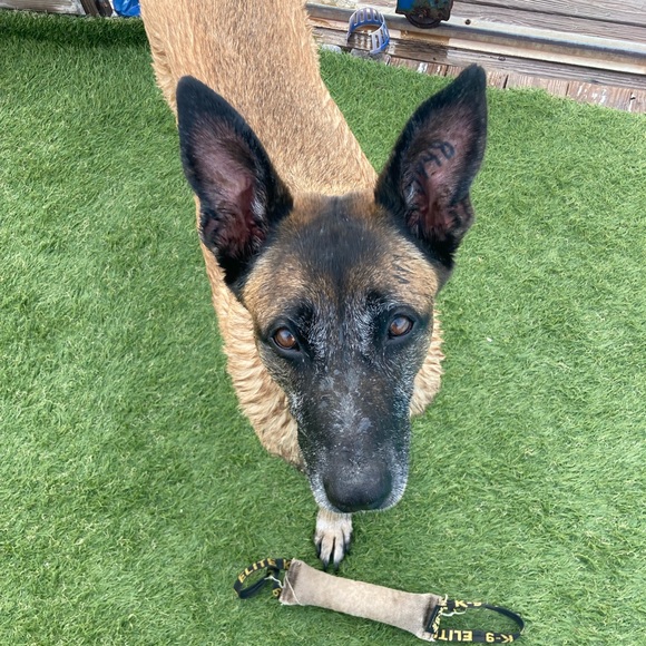 SC - Picture 13 of 17